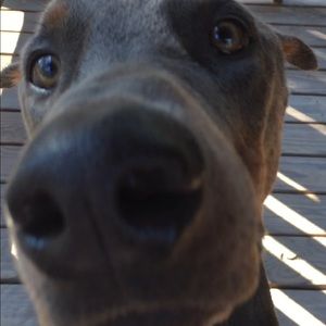 Meet your Posher, Jason